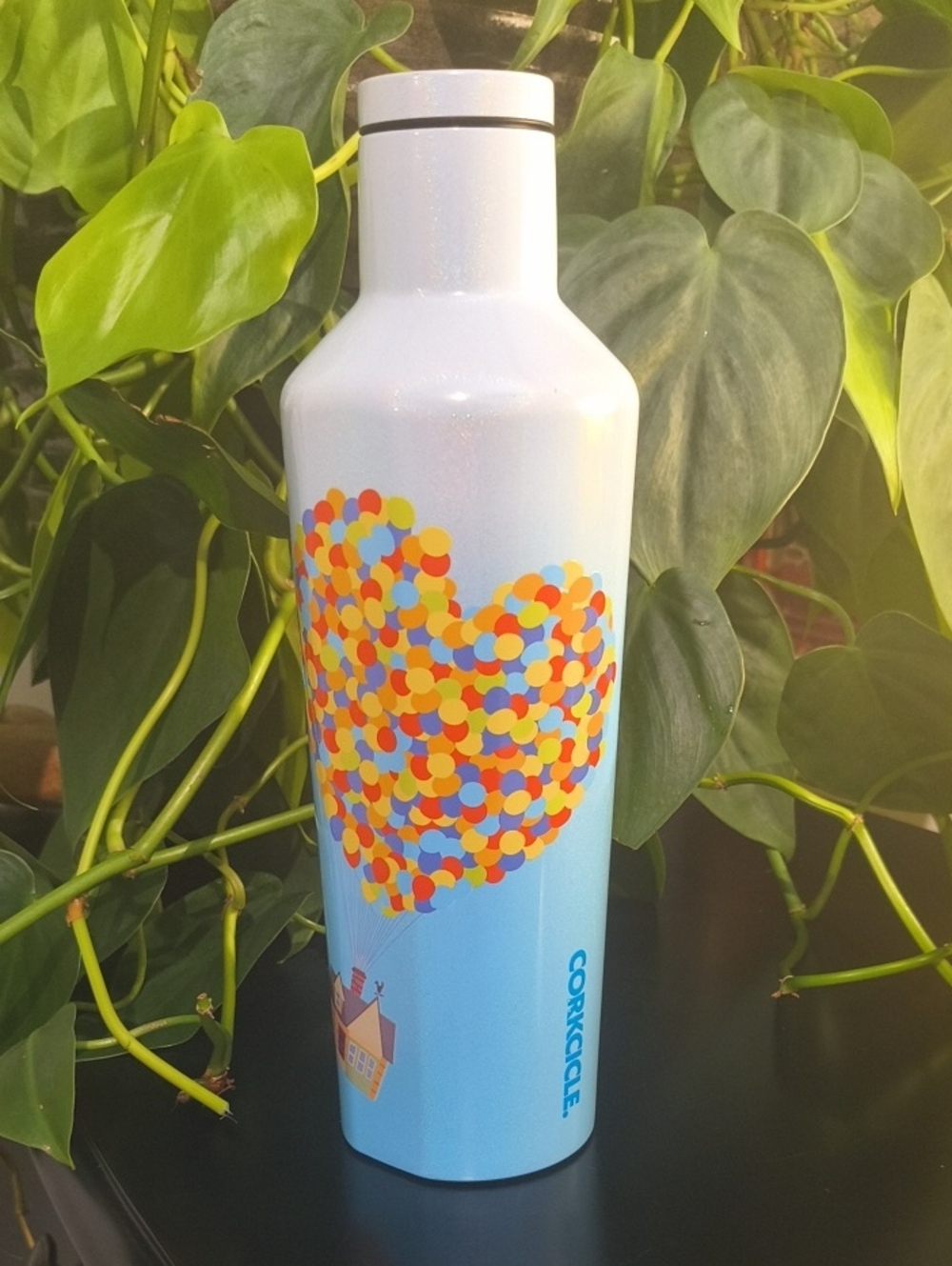 Disney X Corkcicle Pixar Up Insulated Water Bottle NWT